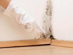 Best Mold Remediation for Healthcare Facilities  in Parkville, MD